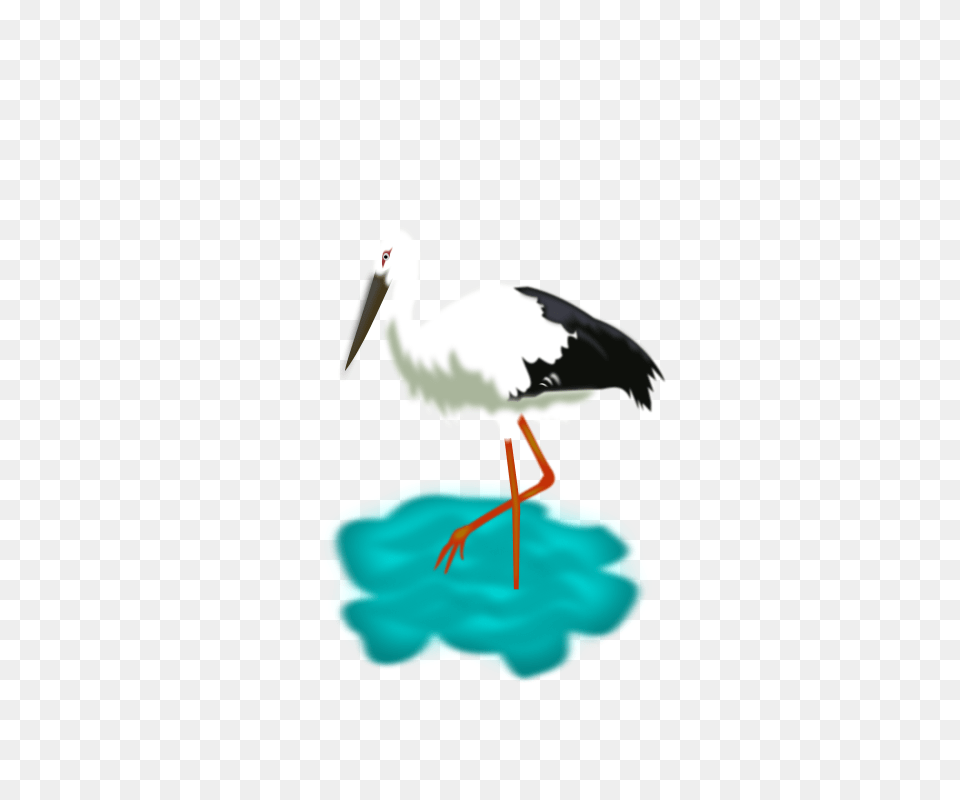 Barza, Animal, Bird, Stork, Waterfowl Png Image