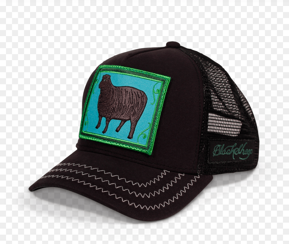 Baseball Cap, Baseball Cap, Clothing, Hat, Animal Free Png