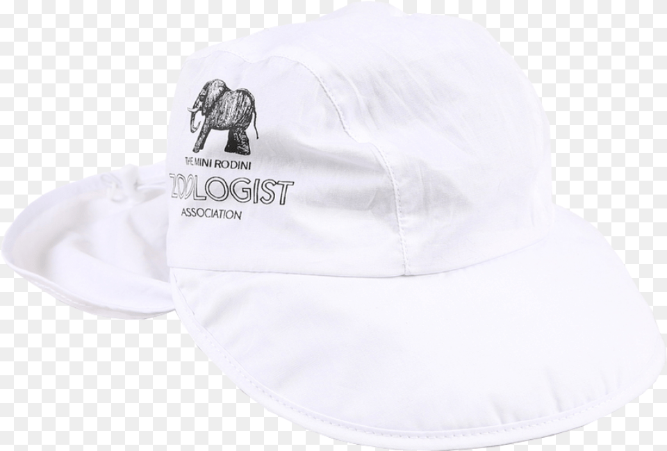 Baseball Cap, Baseball Cap, Clothing, Hat, Sun Hat Free Transparent Png