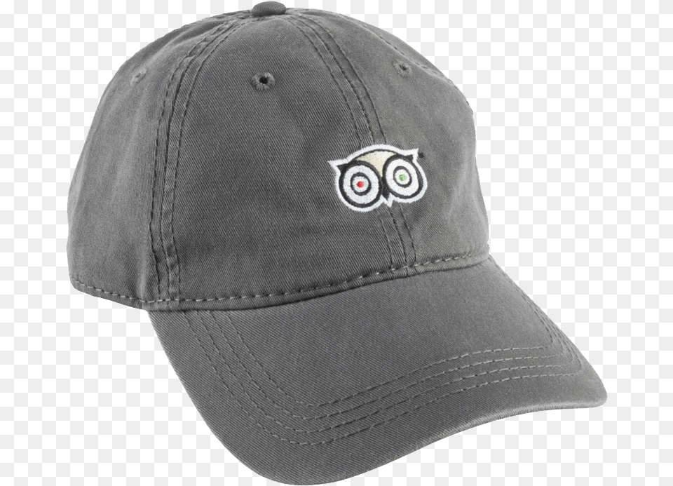 Baseball Cap Background Baseball Hat, Baseball Cap, Clothing, Animal, Bird Free Png Download