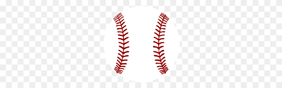 Baseball Clip Art, Leaf, Plant, Fern, Dynamite Free Png Download