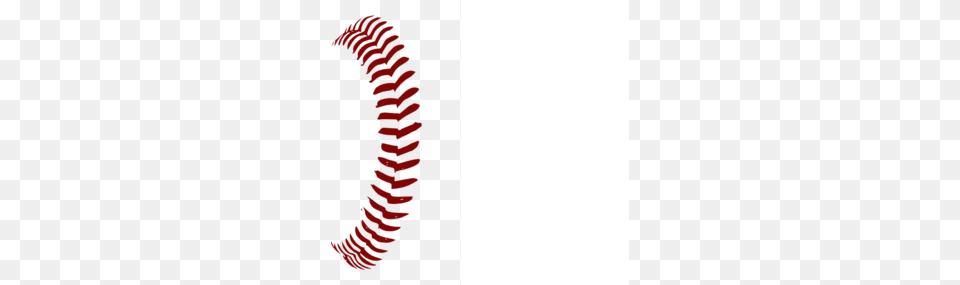 Baseball Clipart Lace, Coil, Spiral, Person, Machine Free Transparent Png