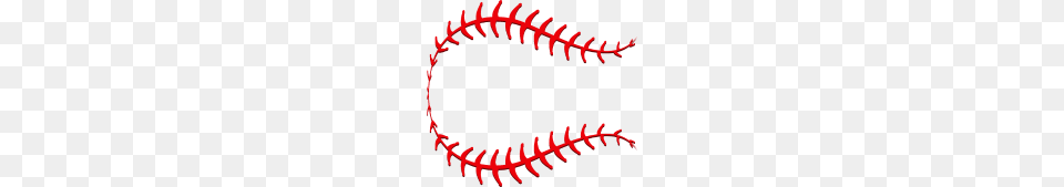 Baseball Stitches, Accessories, Fern, Plant, Pattern Free Png Download