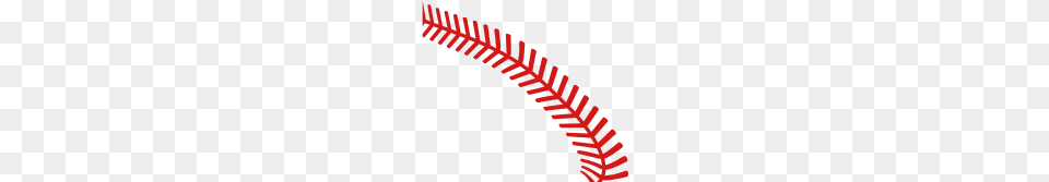 Baseball Stitches, Fern, Plant, Pattern, Leaf Png