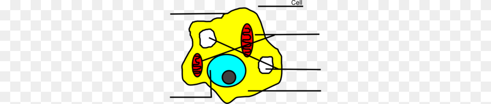 Basic Animal Cell Diagram Unlabeled Clip Art Free Transparent Png