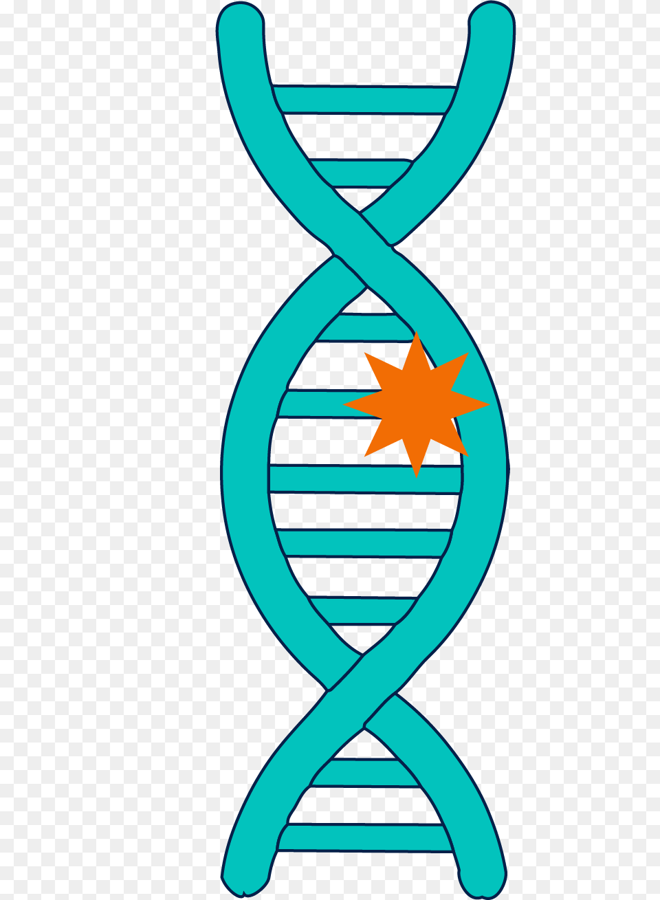 Basic Genetics Kintalk Ucsf, Symbol, Dynamite, Weapon Png