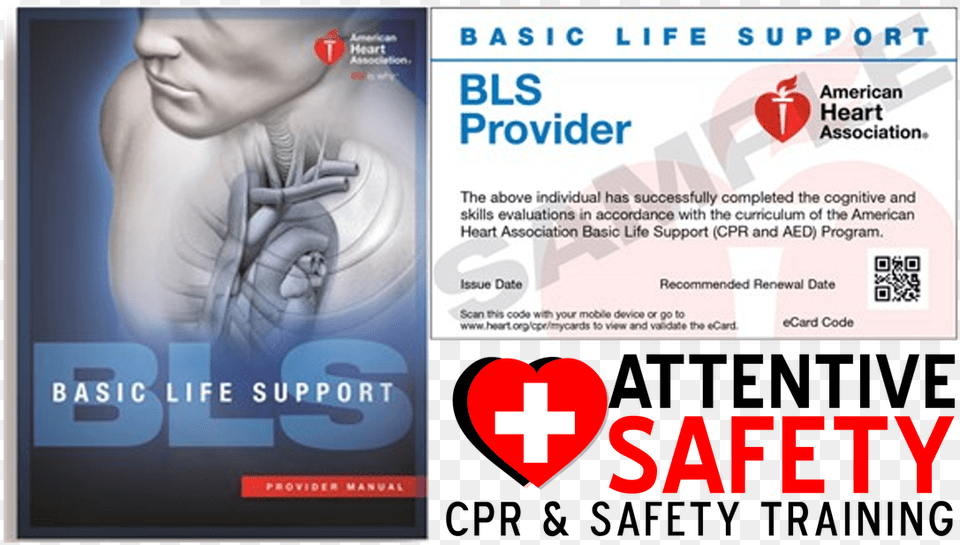 Basic Life Support Pdf American Heart Association, Advertisement, Poster, Baby, Person Free Png Download