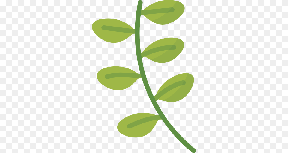 Basil, Herbal, Herbs, Leaf, Plant Png Image