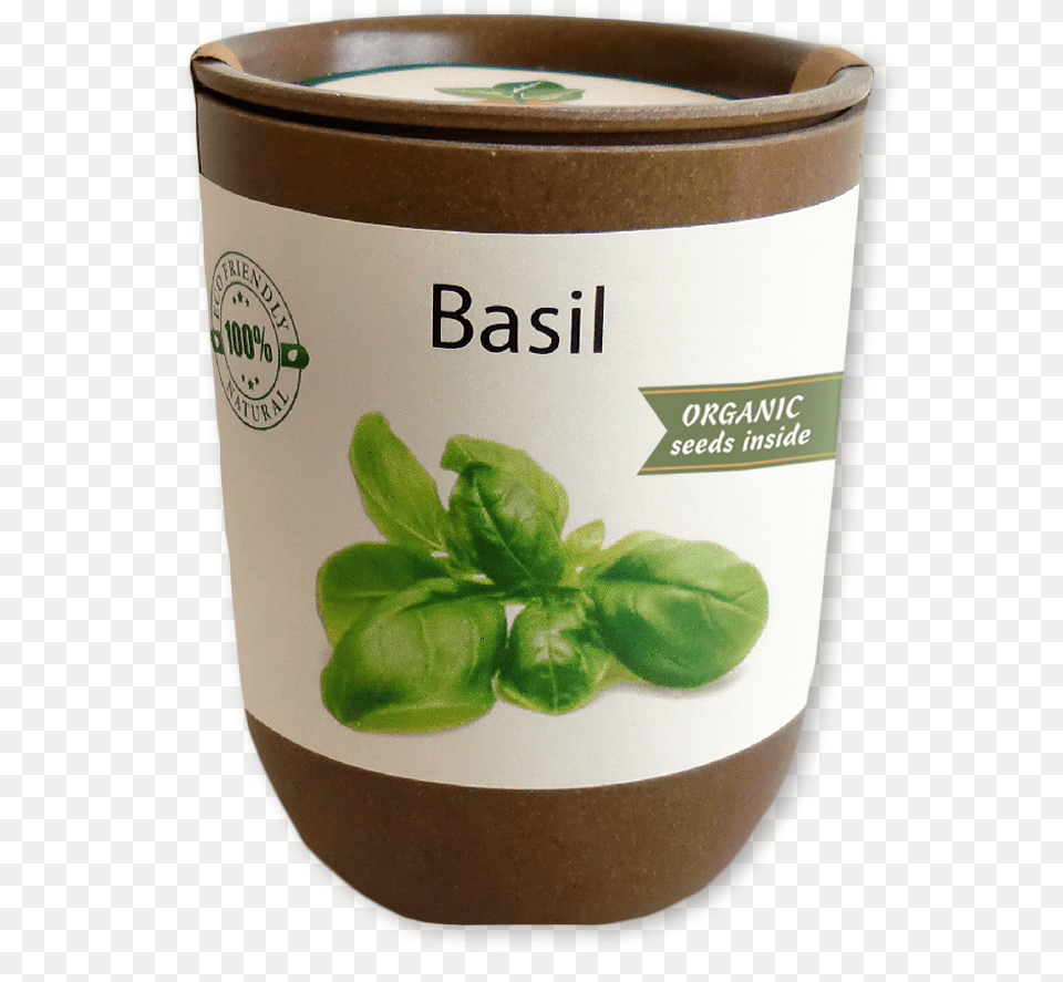 Basil Basil, Herbal, Herbs, Plant, Cup Free Transparent Png