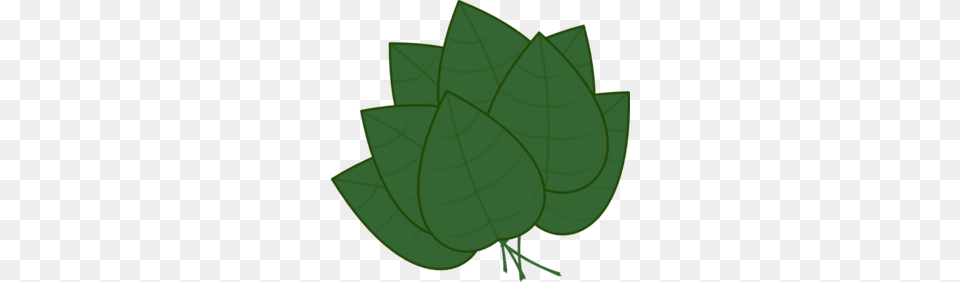 Basil Leaves Clip Art, Leaf, Plant, Green, Herbal Free Png