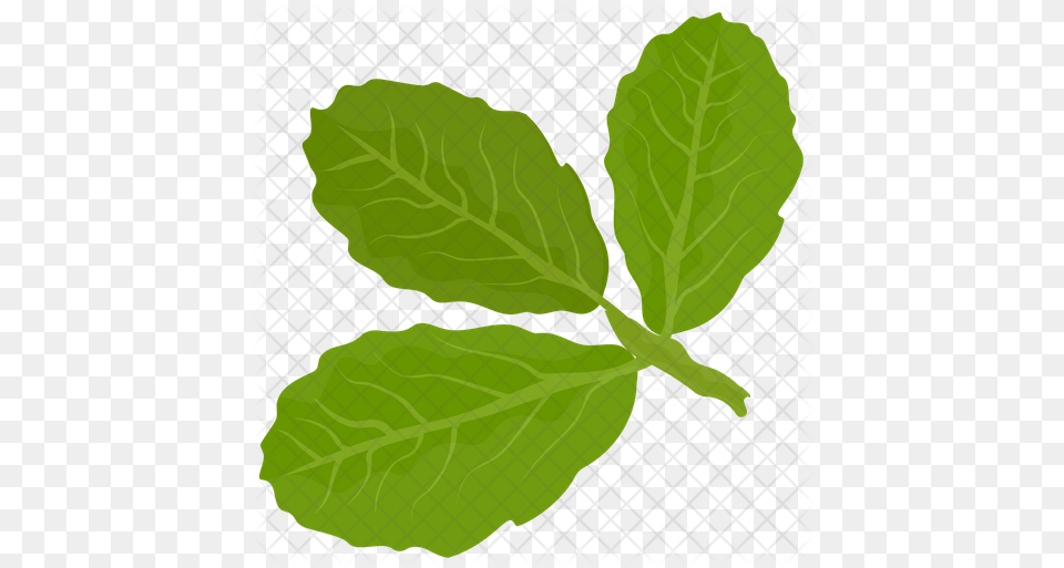 Basil Leaves Icon Basil Leaves Logo, Leaf, Plant, Smoke Pipe Free Png