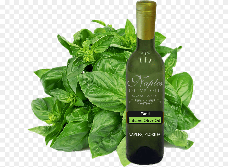 Basil Leaves In Pakistan, Plant, Bottle, Food, Produce Free Png Download