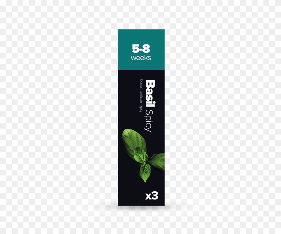 Basil Plantui, Herbal, Herbs, Plant, Leaf Free Png