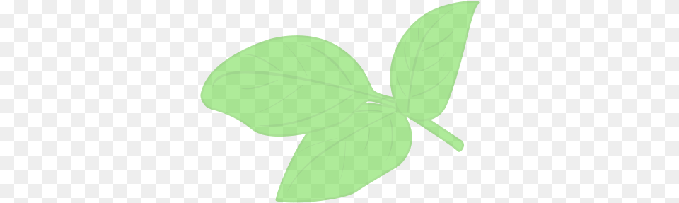 Basil U2013 The Lills Illustration, Herbs, Leaf, Mint, Plant Png Image