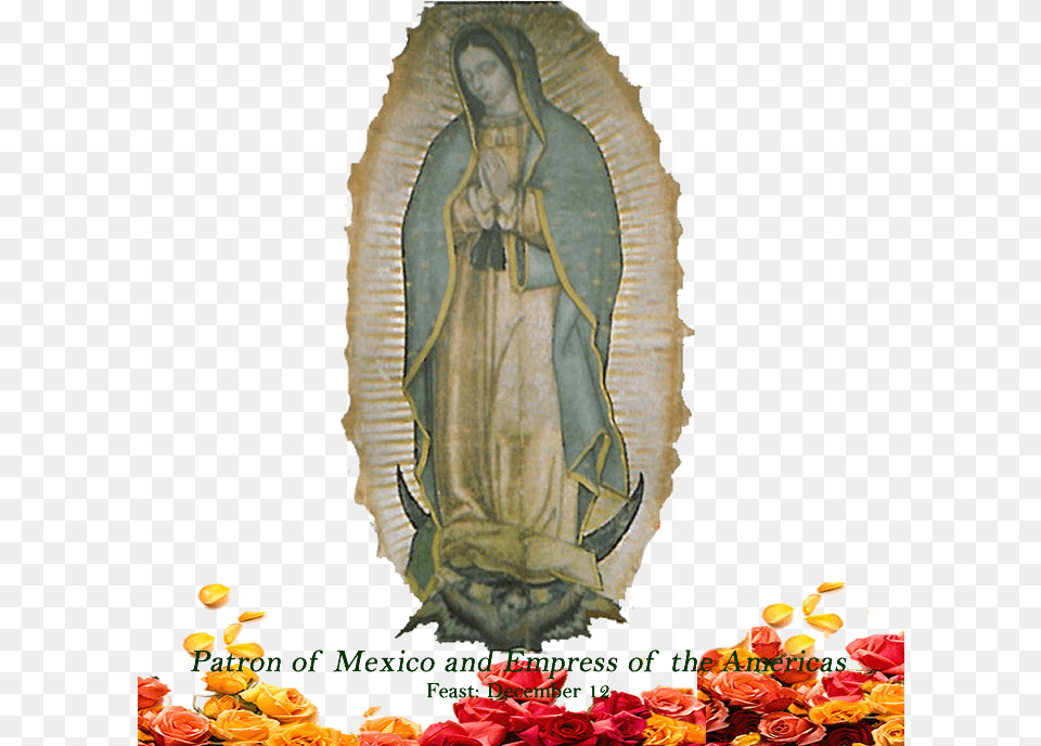 Basilica Of Our Lady Of Guadalupe, Adult, Wedding, Prayer, Person Png Image