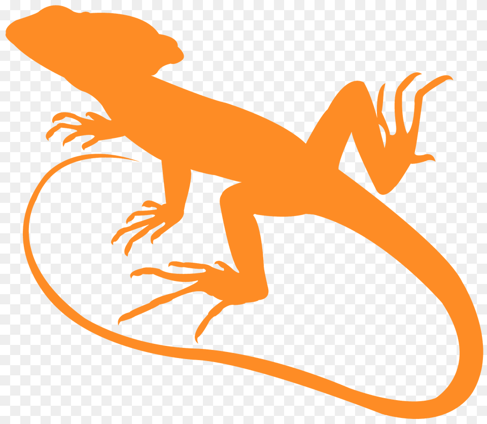 Basilisk Silhouette, Animal, Gecko, Lizard, Reptile Free Png Download