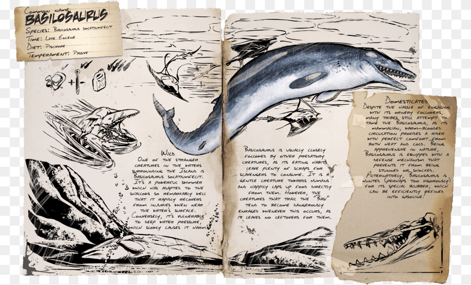 Basilosaurus Ark, Book, Publication, Animal, Fish Png