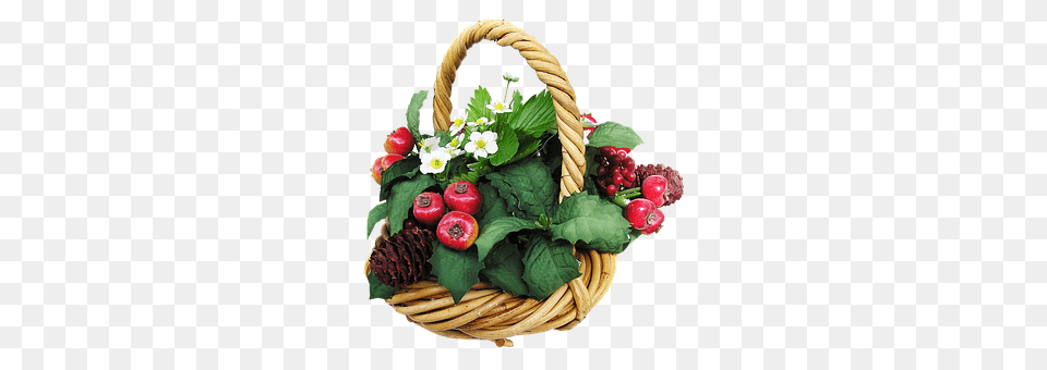 Basket Flower, Flower Arrangement, Plant, Flower Bouquet Free Transparent Png