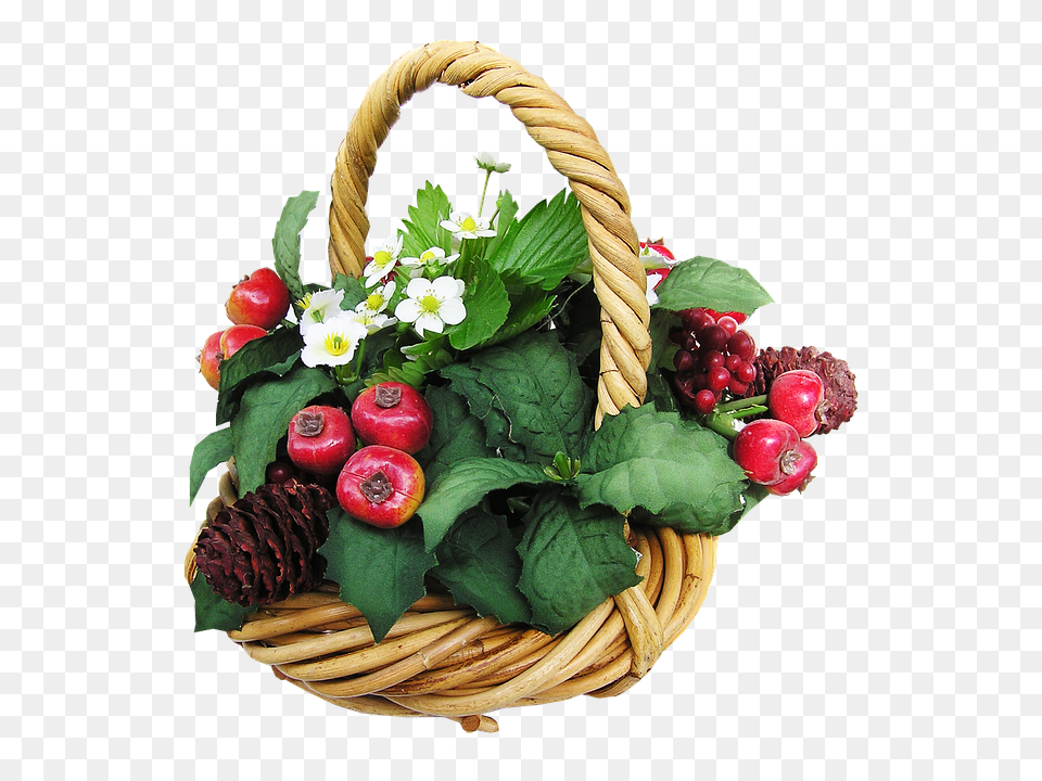 Basket Flower, Flower Arrangement, Plant, Flower Bouquet Png