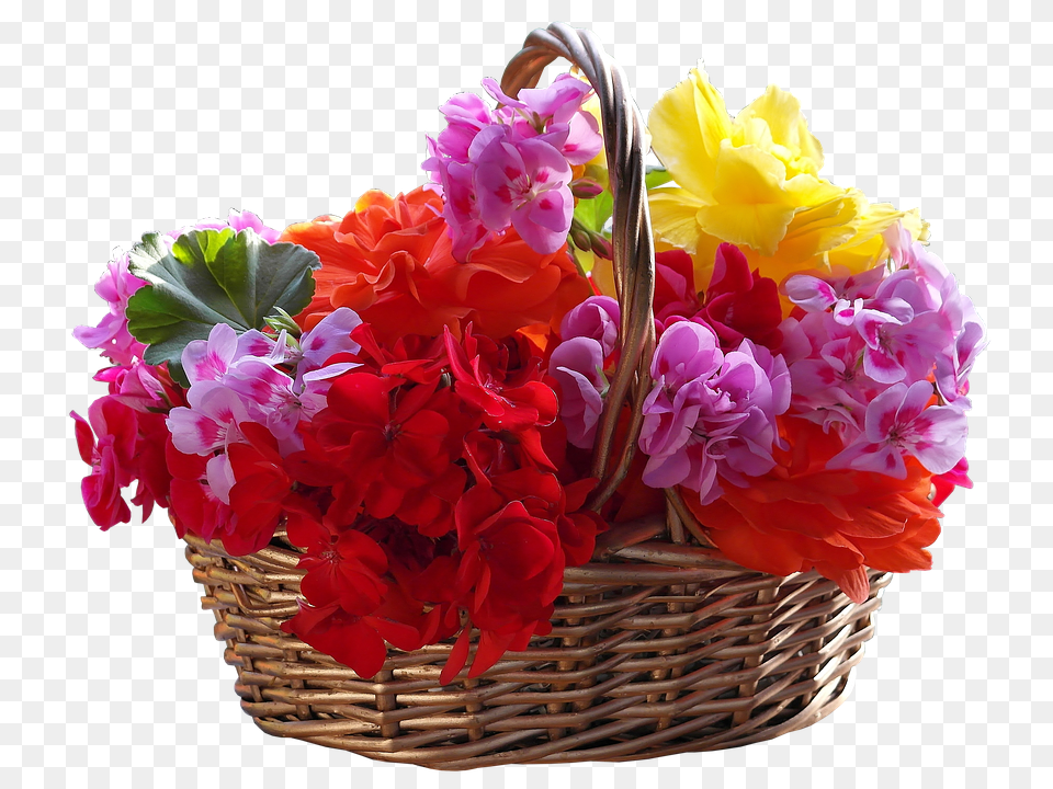 Basket Flower, Flower Arrangement, Flower Bouquet, Geranium Free Png Download