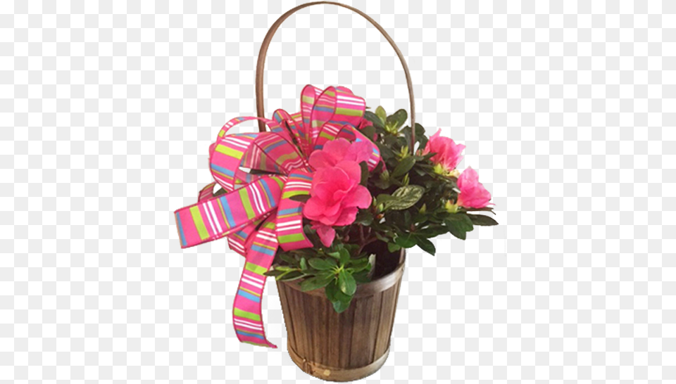 Basket Azalea Crystal Gardens Florist, Flower, Flower Arrangement, Flower Bouquet, Plant Free Png Download