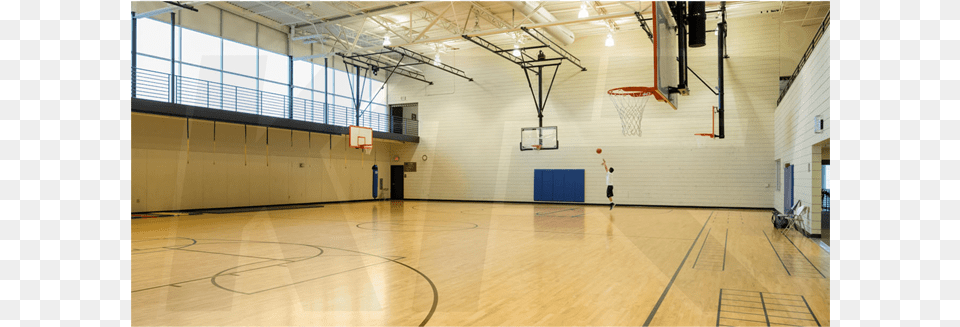 Basket Ball Basketball Court, Person, Sport, Basketball Game, Playing Basketball Free Transparent Png