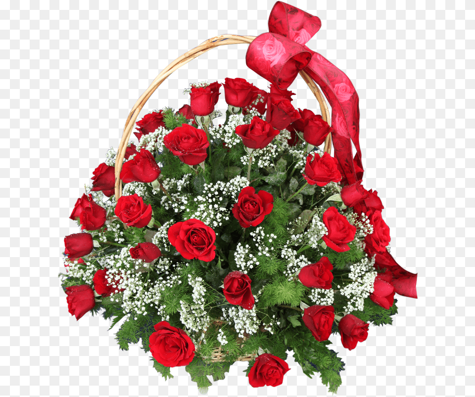 Basket Of 50 Red Roses, Flower, Flower Arrangement, Flower Bouquet, Plant Png