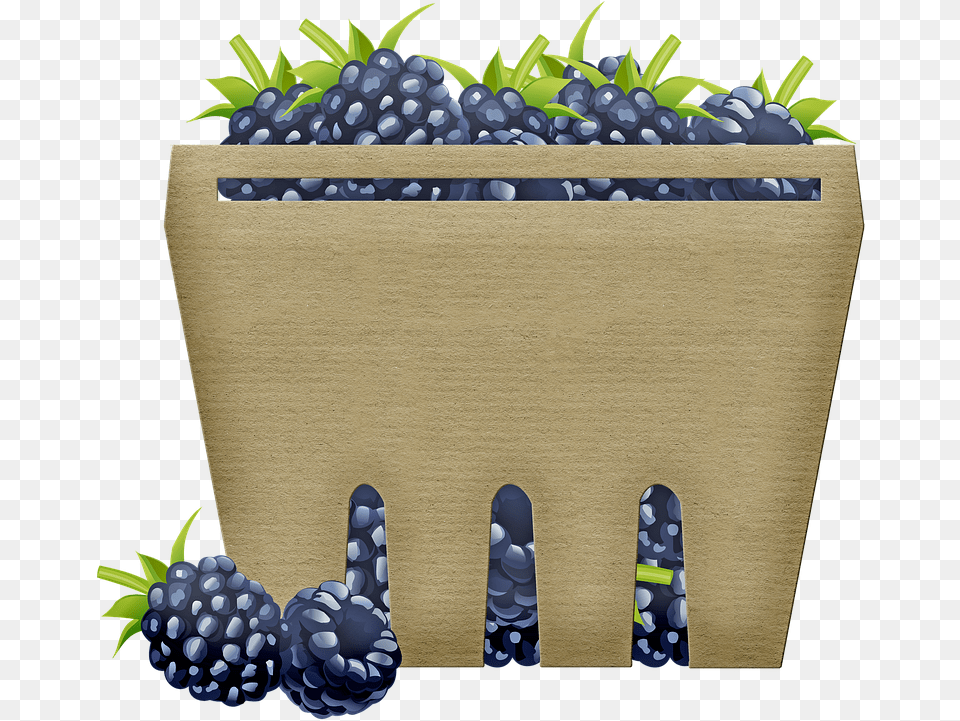 Basket Of Fruit Blackberries Berry Blueberry, Food, Plant, Produce, Cutlery Png