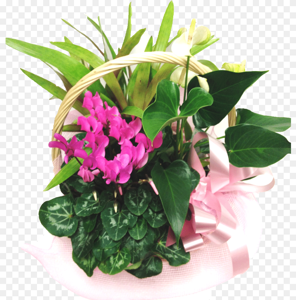Basket Of Plants Bouquet, Flower, Flower Arrangement, Flower Bouquet, Plant Free Png Download