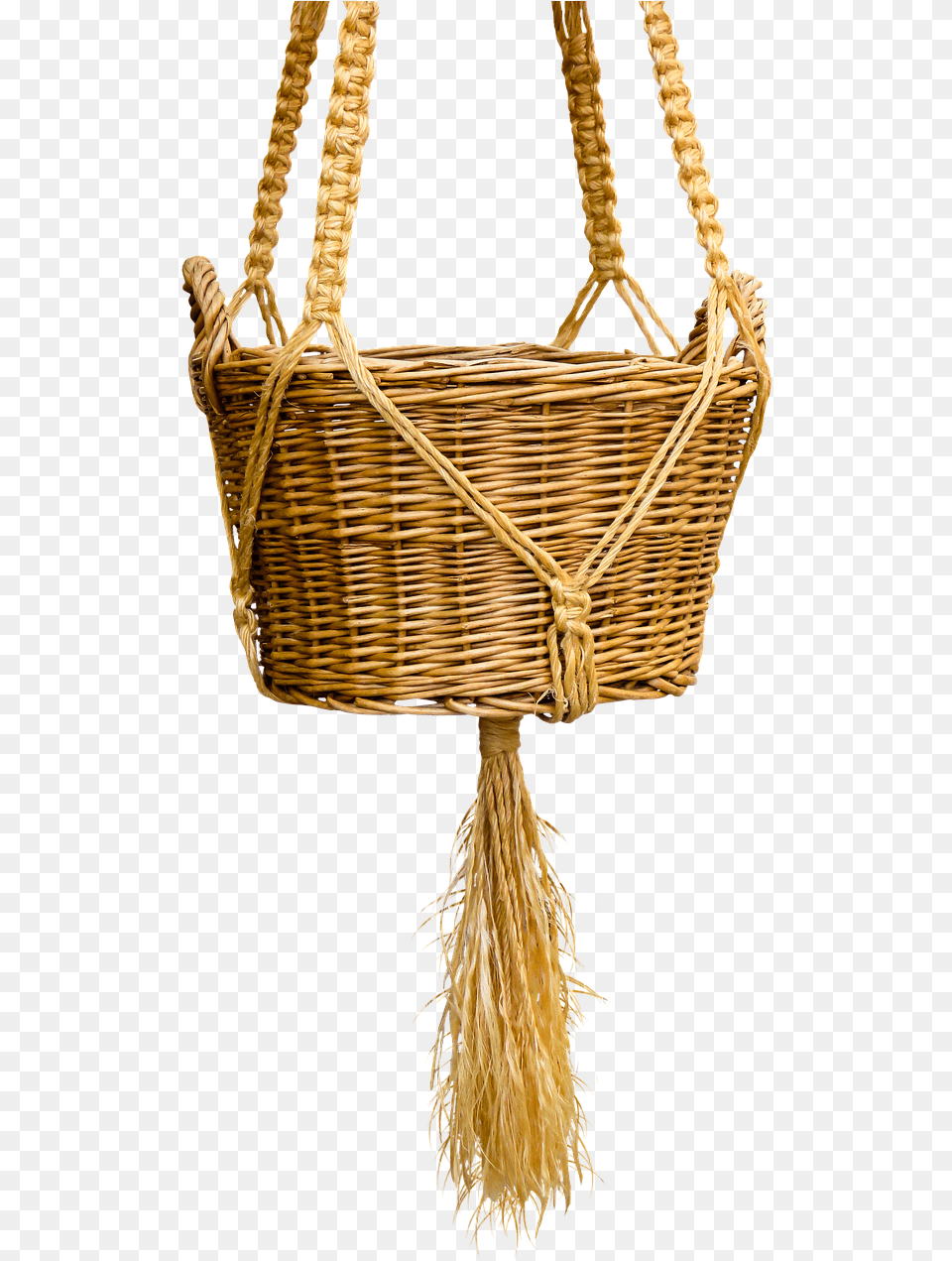 Basket Wicker Basket Isolated Kitten In The Basket Cat, Person Free Png Download