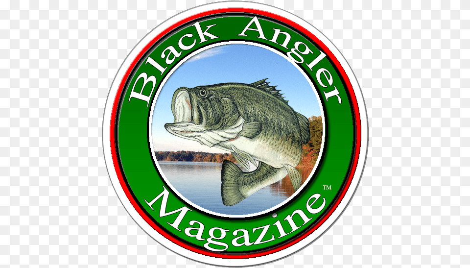 Bass, Animal, Fish, Sea Life, Logo Free Png Download