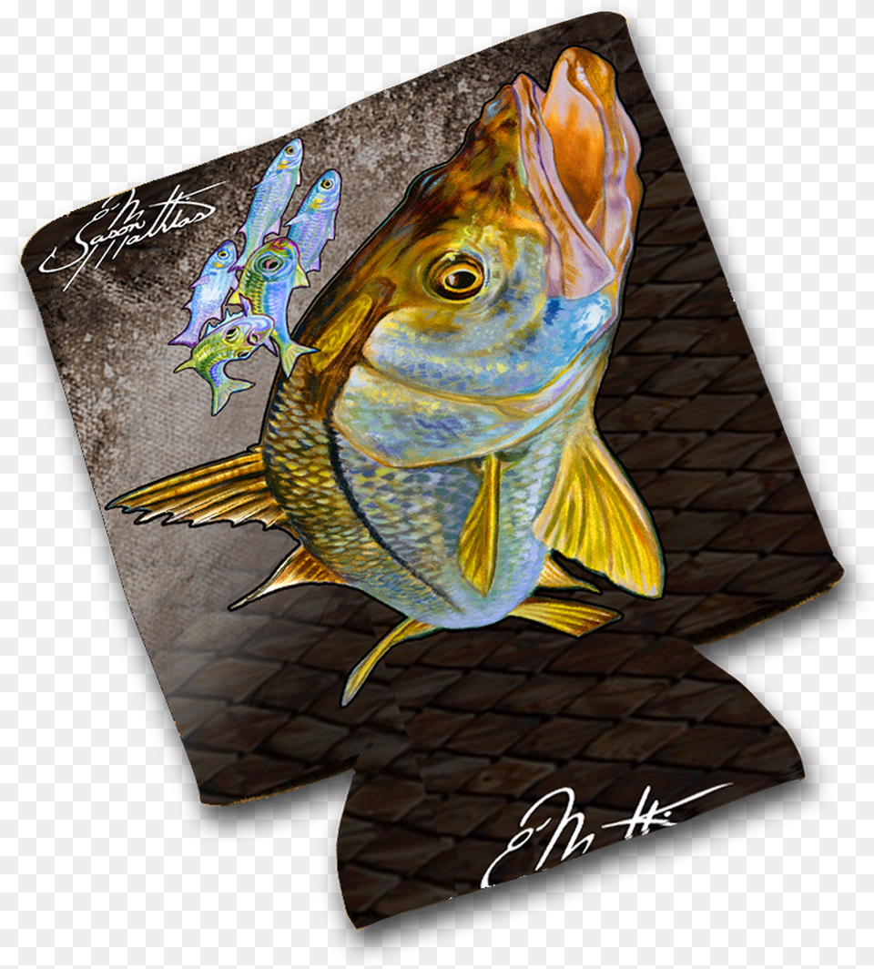 Bass, Animal, Fish, Sea Life Png