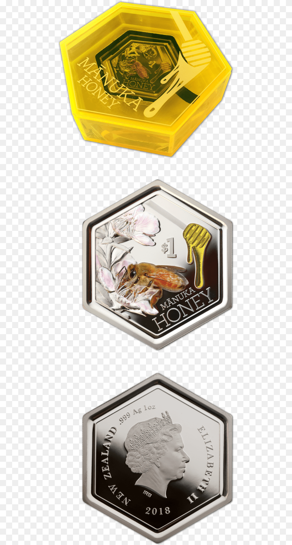 Bass, Person, Face, Head Png Image