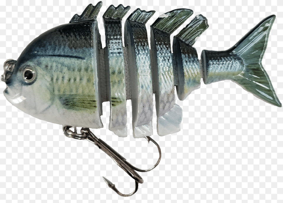 Bass, Animal, Sea Life, Fish, Electronics Free Transparent Png