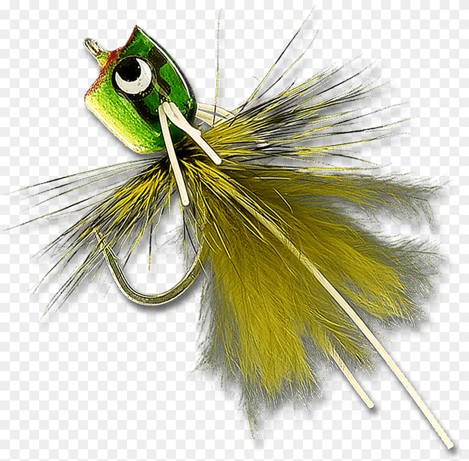 Bass Amp Bluegill Mini Poppers Insect, Fishing Lure, Animal, Invertebrate Png Image