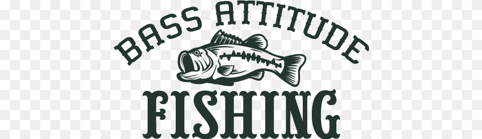 Bass Attitude Fishing Clipart Of Bass Fish, Person, Animal, Sea Life Free Transparent Png