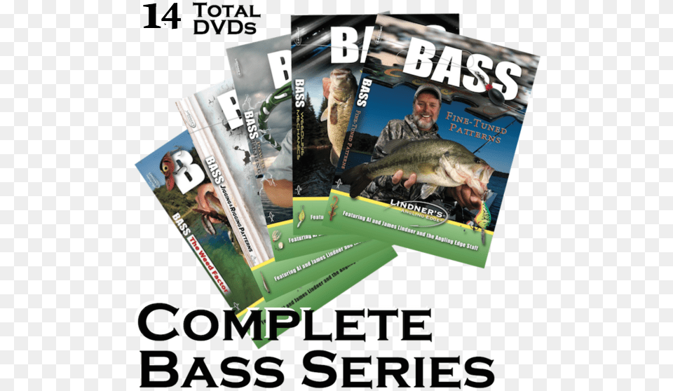 Bass Dvd Bundle Flyer, Sea Life, Advertisement, Animal, Poster Free Png Download