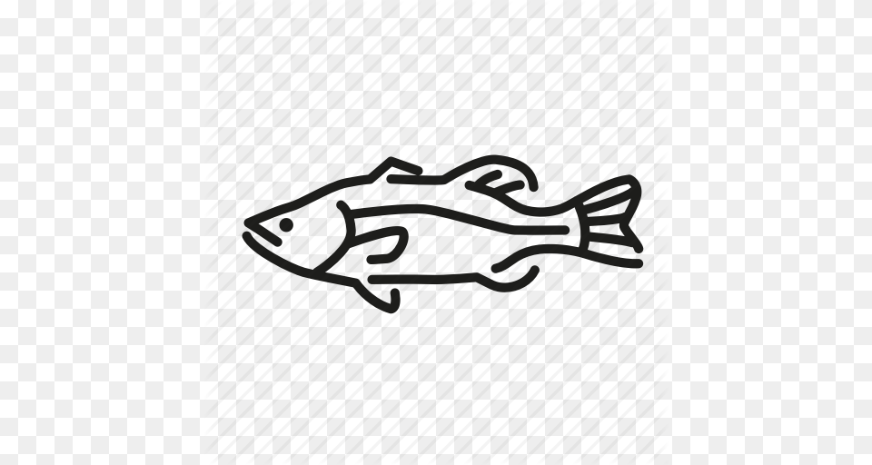 Bass Fish Freshwater Gamefish Largemouth Bass North America, Text Png Image