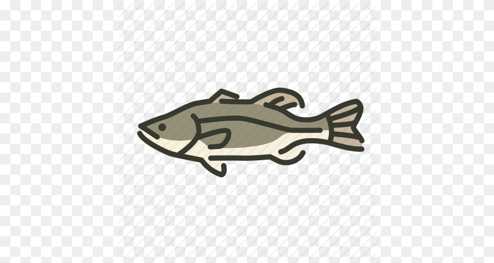 Bass Fish Freshwater Gamefish Largemouth Bass North America, Animal, Sea Life, Shark Free Transparent Png
