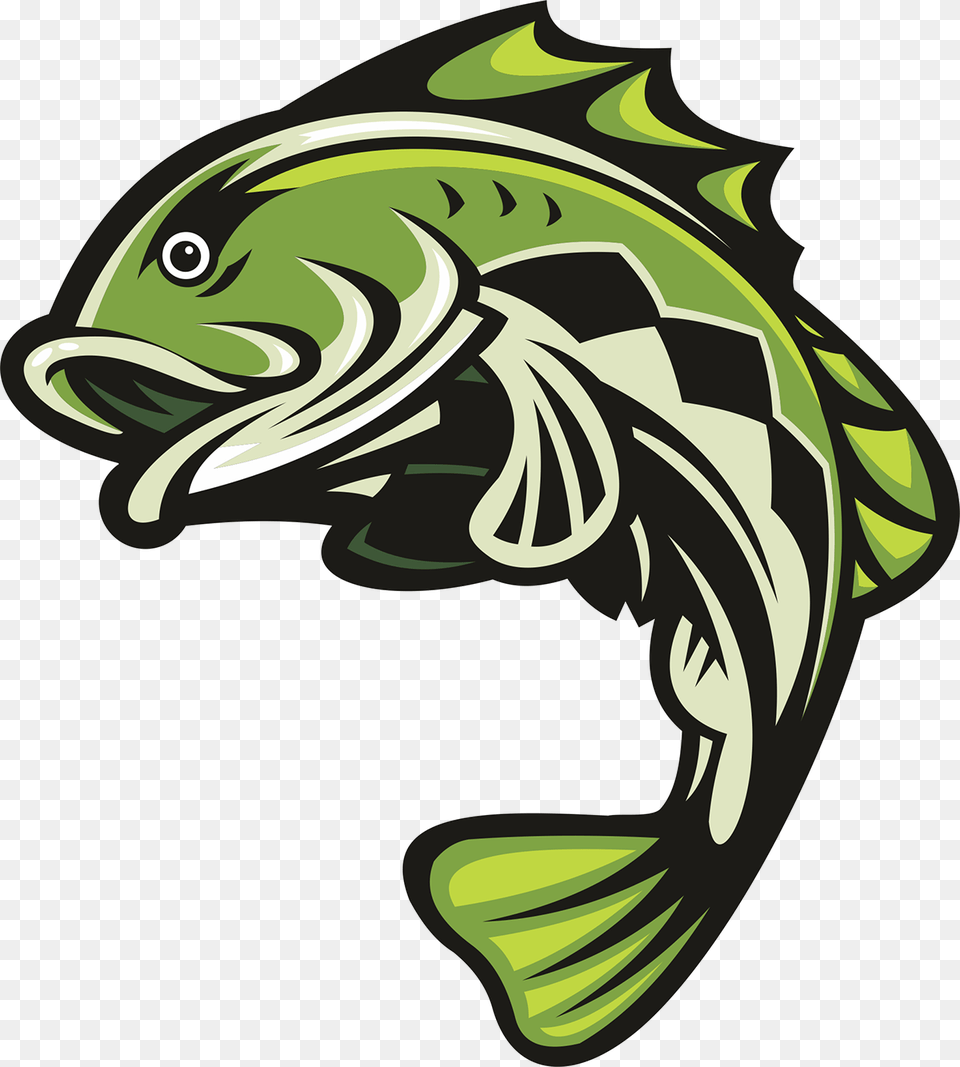 Bass Fish Largemouth Bass Clipart, Animal, Sea Life Png Image