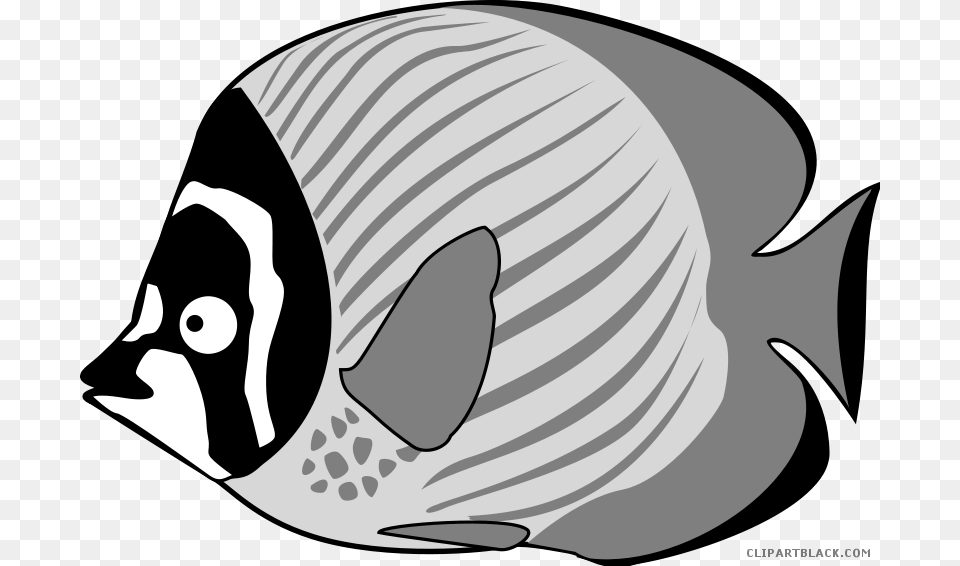 Bass Fish Tropical Black And Fish Sea Creatures Clipart, Angelfish, Animal, Sea Life, Baby Png Image