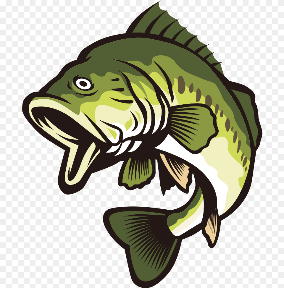 Bass Fish Vector Clipart Banner Library Largemouth Bass Clipart, Animal, Sea Life, Cod, Baby Png