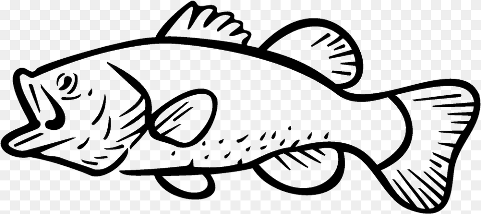 Bass Fishing Largemouth Bass Clip Art Largemouth Bass Clip Art, Animal, Fish, Sea Life Free Transparent Png