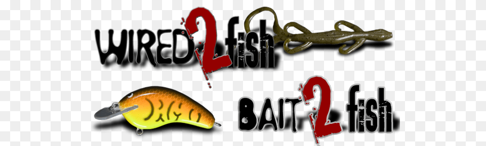 Bass Fishing Lure Selector Chart, Animal Free Png Download