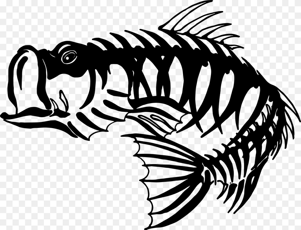 Bass Fishing Skeleton Largemouth Bass Skeleton Bass, Lighting, Gray Free Png