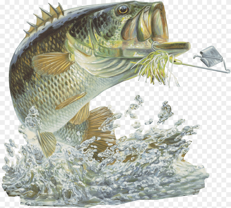 Bass Fishing Sticker Buzzbait Fish Large Mouth Bass, Animal, Sea Life, Perch Png