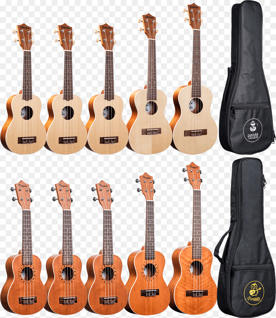 Bass Guitar, Bass Guitar, Musical Instrument, Accessories, Bag Png Image