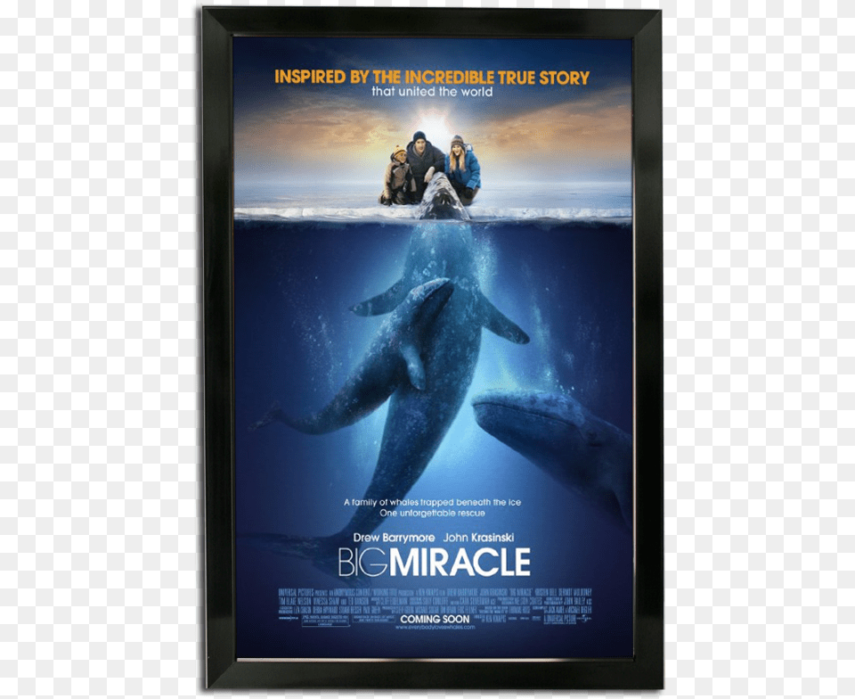 Bass Loc Poster Frame Big Miracle Movie Poster, Animal, Mammal, Sea Life, Whale Free Png Download