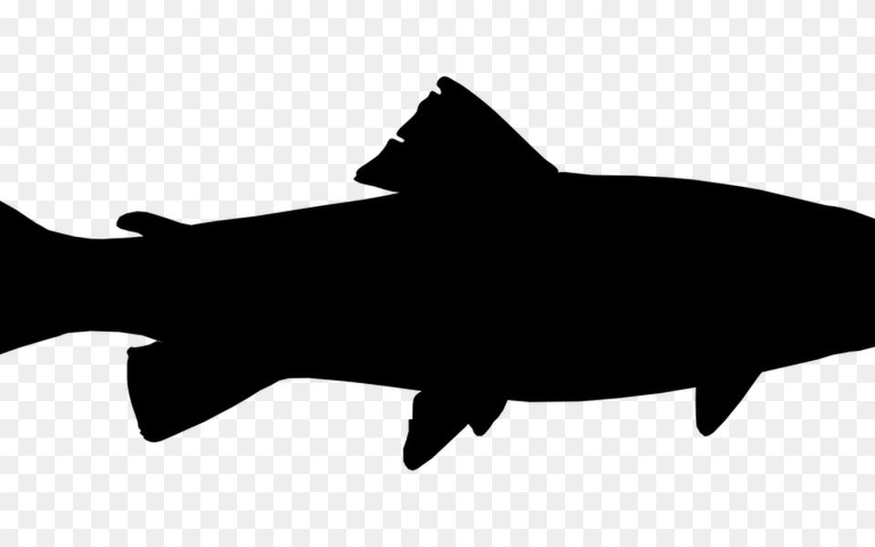 Bass Outline Clip Art Hot Trending Now, Animal, Sea Life, Fish, Silhouette Free Transparent Png