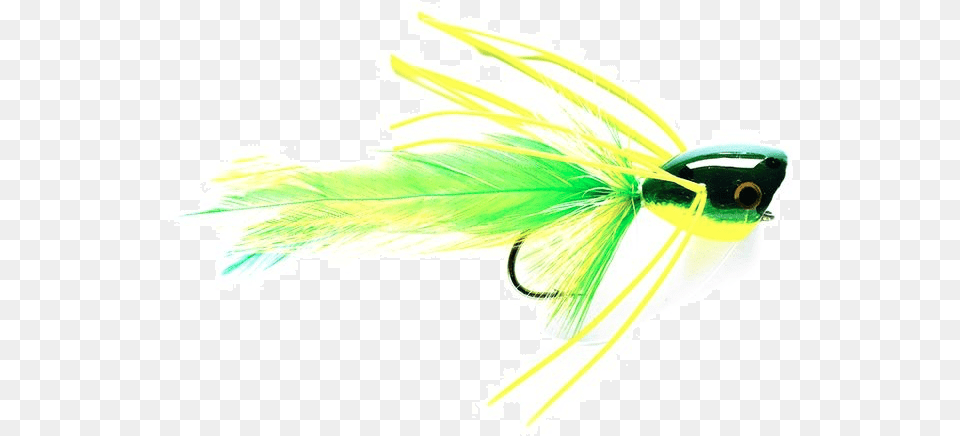 Bass Popper Frog Graphic Design, Fishing Lure Free Transparent Png